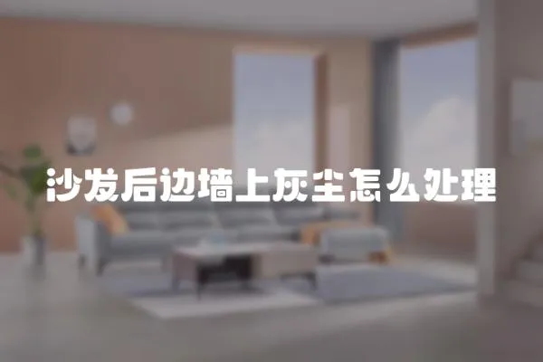 沙發(fā)后邊墻上灰塵怎么處理