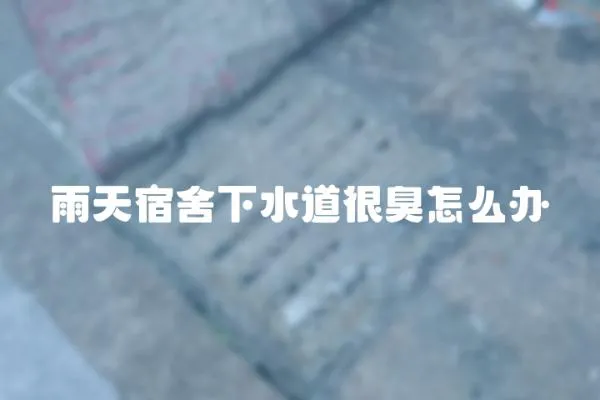 雨天宿舍下水道很臭怎么辦