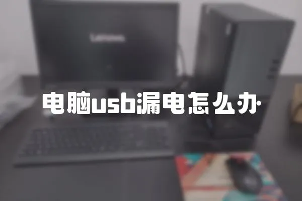 電腦usb漏電怎么辦