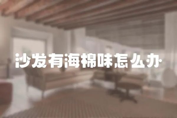 沙發(fā)有海棉味怎么辦