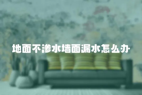 地面不滲水墻面漏水怎么辦