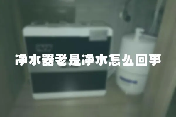 凈水器老是凈水怎么回事