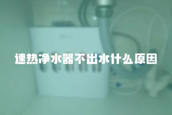速熱凈水器不出水什么原因