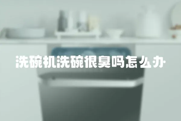 洗碗機洗碗很臭嗎怎么辦