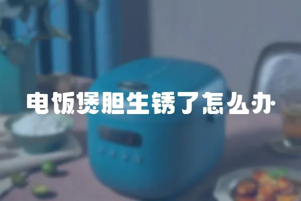 電飯煲膽生銹了怎么辦