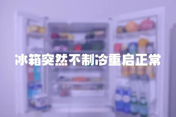 冰箱突然不制冷重啟正常