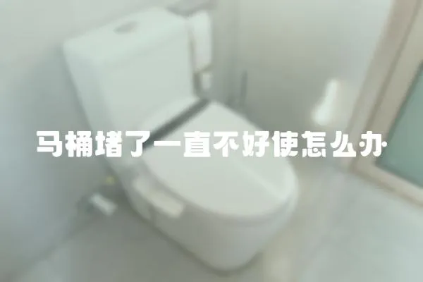 馬桶堵了一直不好使怎么辦