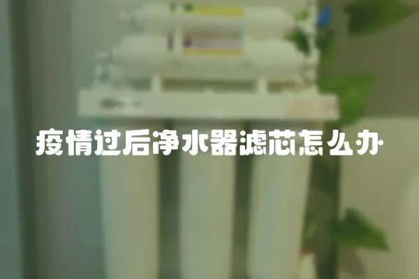 疫情過后凈水器濾芯怎么辦