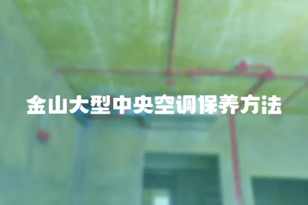 金山大型中央空調(diào)保養(yǎng)方法