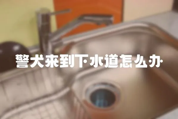 警犬來到下水道怎么辦