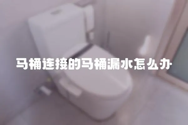 馬桶連接的馬桶漏水怎么辦