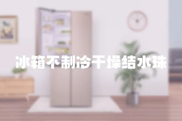 冰箱不制冷干燥結水珠