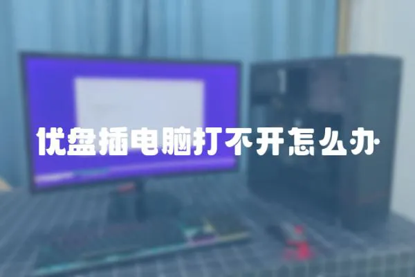 優(yōu)盤插電腦打不開怎么辦