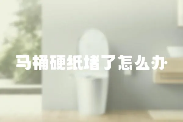 馬桶硬紙堵了怎么辦