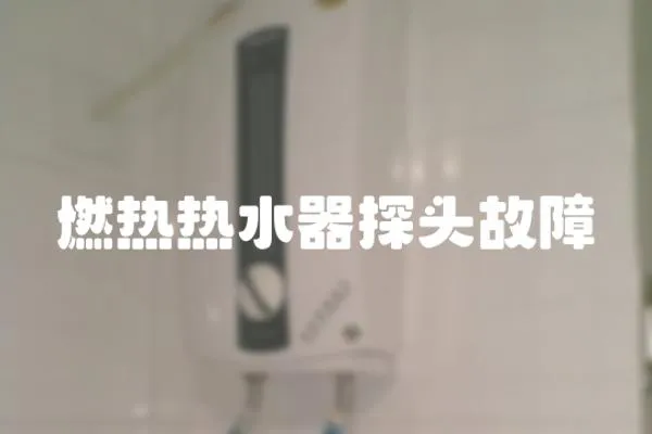 燃熱熱水器探頭故障