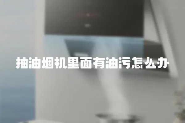 抽油煙機里面有油污怎么辦