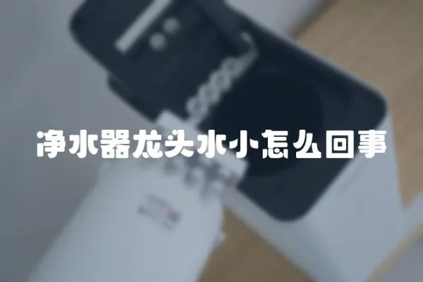 凈水器龍頭水小怎么回事