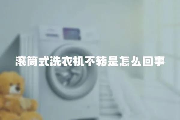 滾筒式洗衣機不轉是怎么回事
