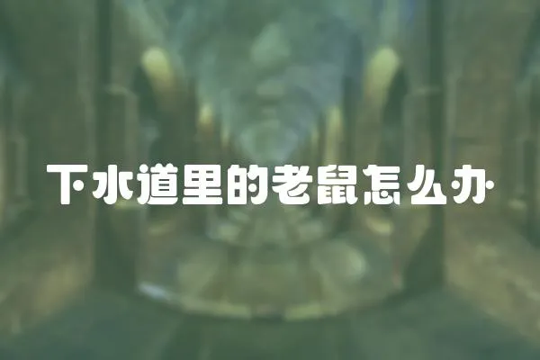 下水道里的老鼠怎么辦