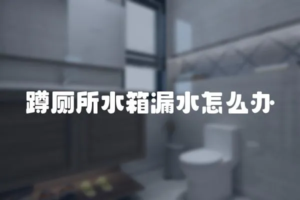 蹲廁所水箱漏水怎么辦