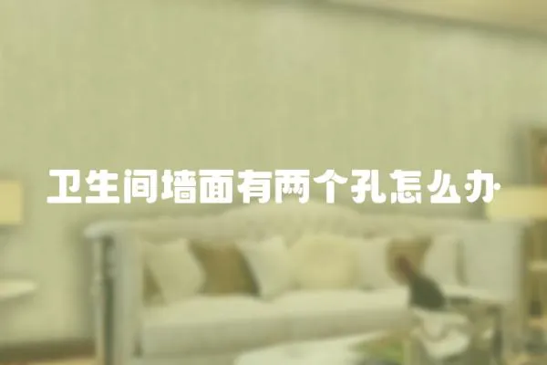 衛生間墻面有兩個孔怎么辦