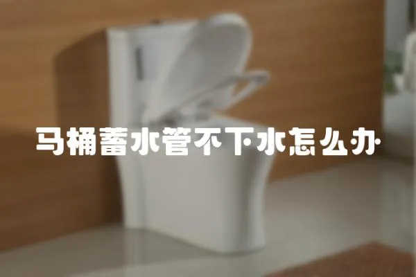 馬桶蓄水管不下水怎么辦