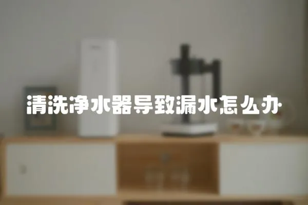清洗凈水器導致漏水怎么辦