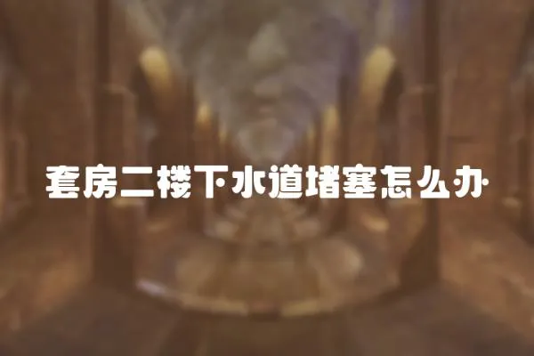 套房二樓下水道堵塞怎么辦