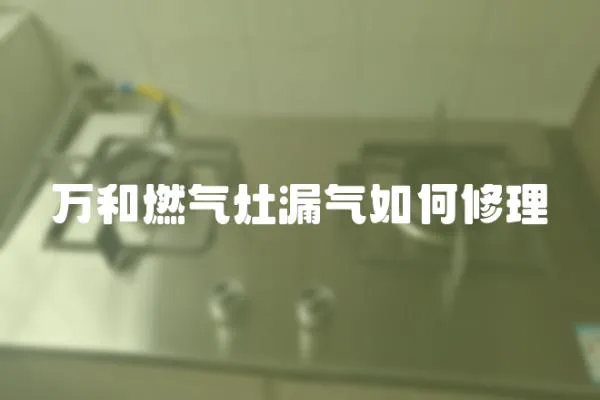 萬和燃氣灶漏氣如何修理