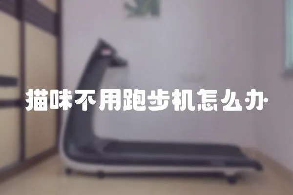 貓咪不用跑步機怎么辦