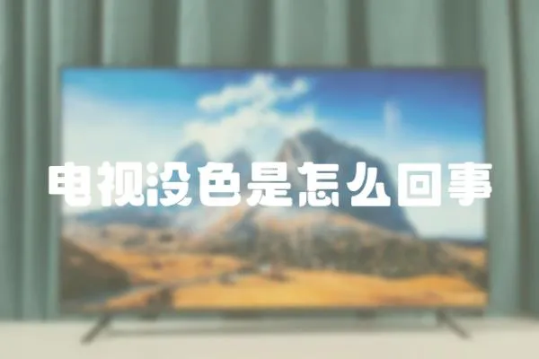 電視沒色是怎么回事