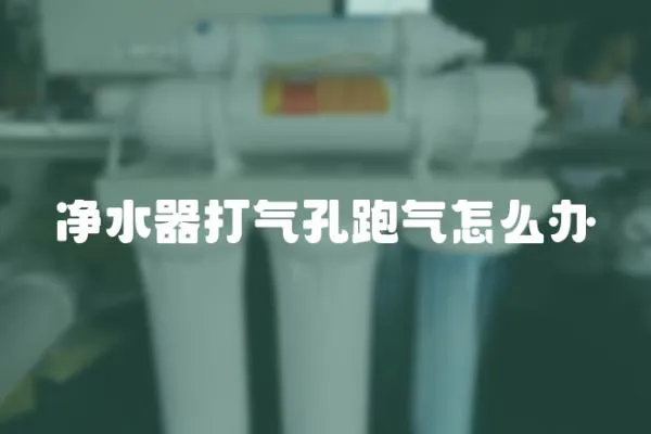 凈水器打氣孔跑氣怎么辦