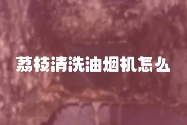 荔枝清洗油煙機怎么