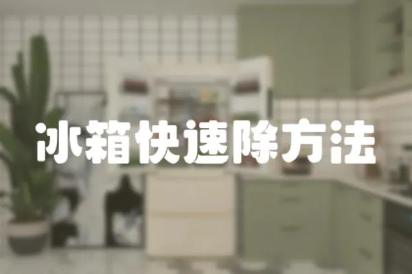 冰箱快速除方法