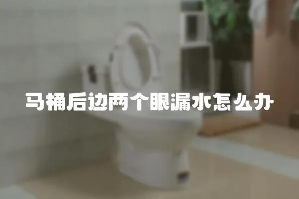 馬桶后邊兩個眼漏水怎么辦