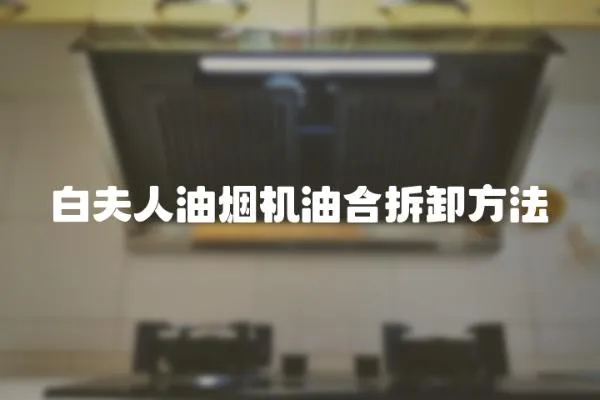 白夫人油煙機油合拆卸方法