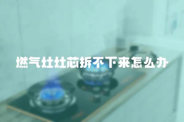 燃氣灶灶芯拆不下來怎么辦