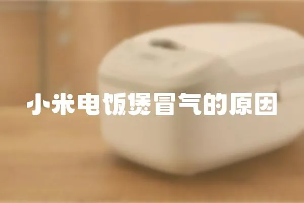 小米電飯煲冒氣的原因