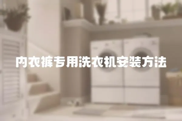 內(nèi)衣褲專用洗衣機(jī)安裝方法