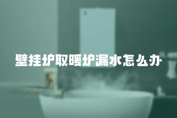 壁掛爐取暖爐漏水怎么辦