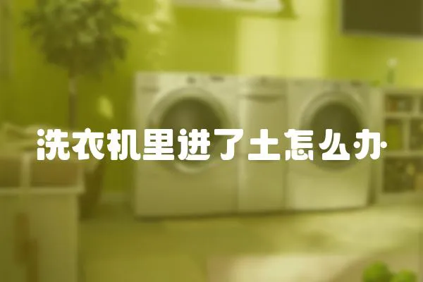 洗衣機里進了土怎么辦