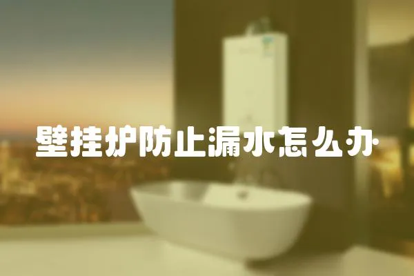 壁掛爐防止漏水怎么辦