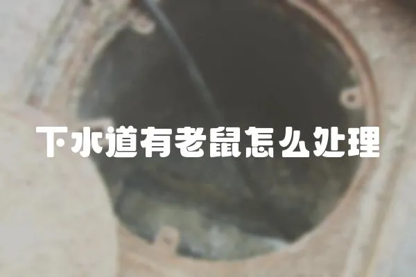下水道有老鼠怎么處理