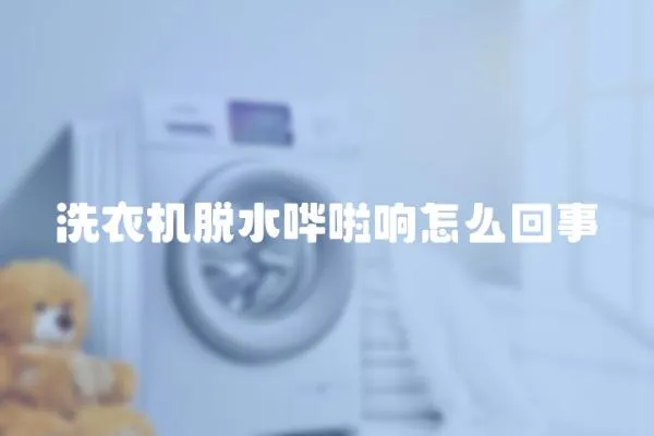 洗衣機脫水嘩啦響怎么回事