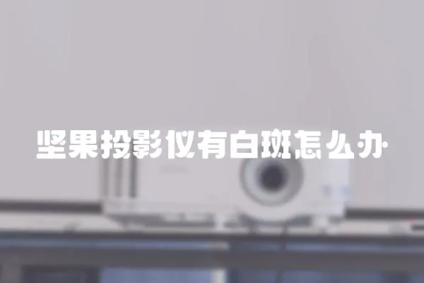 堅果投影儀有白斑怎么辦