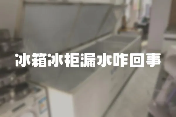 冰箱冰柜漏水咋回事