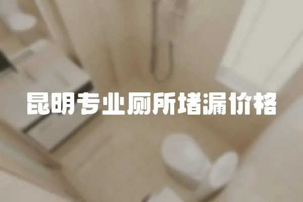 昆明專業廁所堵漏價格