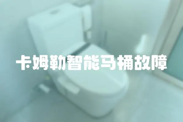 卡姆勒智能馬桶故障