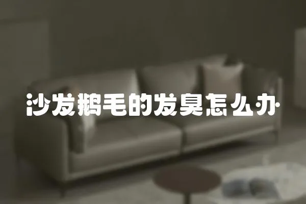 沙發鵝毛的發臭怎么辦