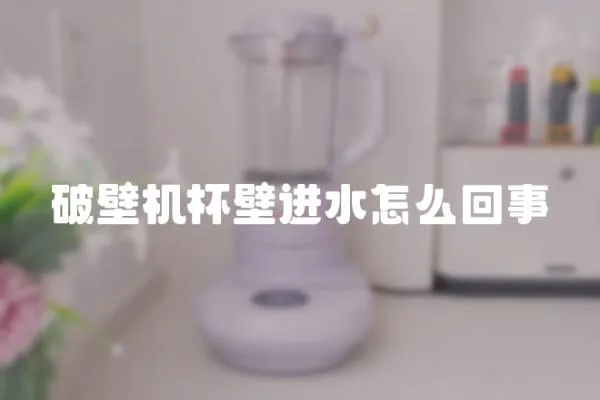 破壁機杯壁進水怎么回事